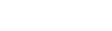 digitalleader ship logo